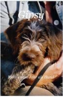 Gipsy - Mein erstes Jahr als Hund - Siegfried Schneider 