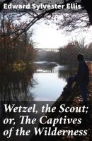 Wetzel, the Scout; or, The Captives of the Wilderness - Edward Sylvester Ellis 