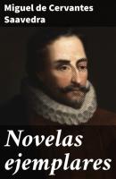 Novelas ejemplares - Miguel de Cervantes Saavedra 
