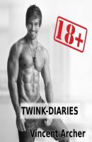 Twink-Diaries - Männersache Vol. 1 - Vincent Archer 