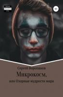 Микрокосм, или Озорные мудрости мира - Сергей Алексеевич Воропанов 