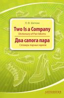 Two is a Company. Dictionary of Pair Idioms. Два сапога пара. Словарь парных идиом - Л. Ф. Шитова 