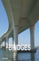 Bridges - Victoria Charles Our Earth