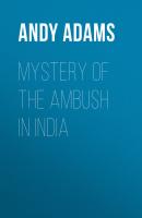 Mystery of the Ambush in India - Adams Andy 