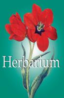 Herbarium - Klaus H. Carl Mega Square