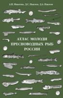 Атлас молоди пресноводных рыб России - Д. С. Павлов 