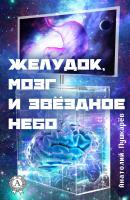 Желудок, мозг и звёздное небо - Анатолий Пушкарёв 