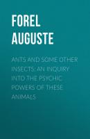 Ants and Some Other Insects: An Inquiry Into the Psychic Powers of These Animals - Forel Auguste 