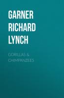 Gorillas & Chimpanzees - Garner Richard Lynch 