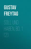 Soll und Haben, Bd. 1 (2) - Gustav Freytag 