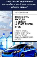 Как снизить расходы на бензин на 25000 рублей в год - Александр Горбунов 