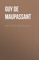 Valittuja novelleja I - Guy de Maupassant 