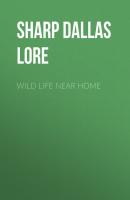 Wild Life Near Home - Sharp Dallas Lore 
