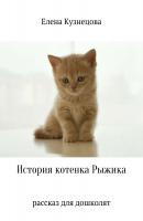 История котенка Рыжика - Елена Алексеевна Кузнецова 