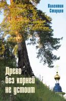 Древо без корней не устоит - Валентин Старцев Православное краеведение