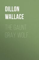 The Gaunt Gray Wolf - Dillon Wallace 