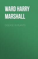 Disease in Plants - Ward Harry Marshall 