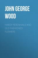 Hardy Perennials and Old Fashioned Flowers - John George Wood 