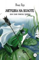 Лягушка на болоте, или План поиска принца - Владимир Дмитриевич Бурлуцкий 