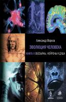 Обезьяны, нейроны и душа - Александр Марков Эволюция человека
