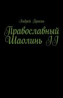 Православный Шаолинь II - Андрей Просин 