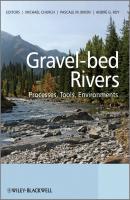 Gravel Bed Rivers. Processes, Tools, Environments - Andre  Roy 