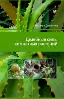 Целебные силы комнатных растений - Наталья Владимировна Доронина 