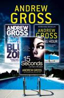 Andrew Gross 3-Book Thriller Collection 2: 15 Seconds, Killing Hour, The Blue Zone - Andrew  Gross 
