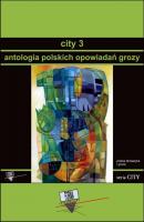 City 3. Antologia polskich opowiadań grozy - Praca zbiorowa 