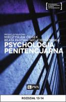 Psychologia penitencjarna. Rozdział 13-14 - Henryk Machel 
