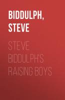 Steve Biddulph's Raising Boys - Steve  Biddulph 