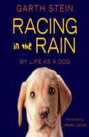 Racing in the Rain - Garth  Stein 