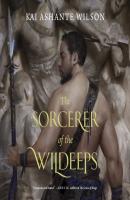 Sorcerer of the Wildeeps - Kai Ashante Wilson 