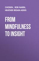 From Mindfulness to Insight - Rob Nairn 