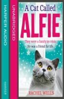 Cat Called Alfie - Rachel  Wells 