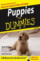 Puppies For Dummies - Sarah  Hodgson 