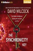 Synchronicity Key - David Wilcock 