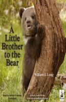 Little Brother to the Bear, and Other Animal Stories - William J. Long 