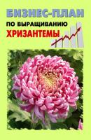 Бизнес-план по выращиванию хризантемы - Павел Шешко 