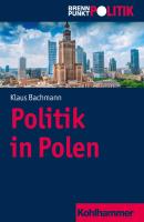 Politik in Polen - Klaus  Bachmann 