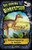 Das geheime Dinoversum 6 - Edmontosaurier in Gefahr - Rex  Stone Das geheime Dinoversum