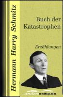 Buch der Katastrophen - Hermann Harry Schmitz 