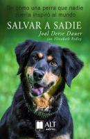 Salvar a Sadie - Joal Derse Dauer 