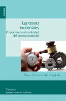 Las causas incidentales - Bruceli Benito Ala Gordillo  Canónica