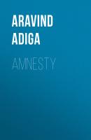 Amnesty - Aravind  Adiga 