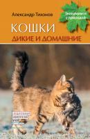 Кошки дикие и домашние - А. В. Тихонов Знакомимся с природой