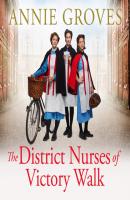 District Nurses of Victory Walk (The District Nurse, Book 1) - Annie Groves 