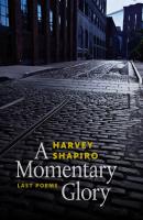 A Momentary Glory - Harvey Shapiro Wesleyan Poetry Series