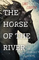 The Horse of the River - Sari Cooper Camp Canyon Falls