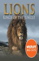 Lions: Kings of the Jungle (Wildlife Big Cats) - Baby Professor Children's Animal Books